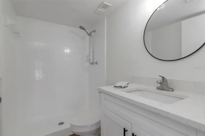 Renovated Primary Bathroom