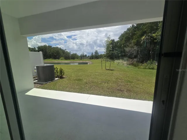 Rear View