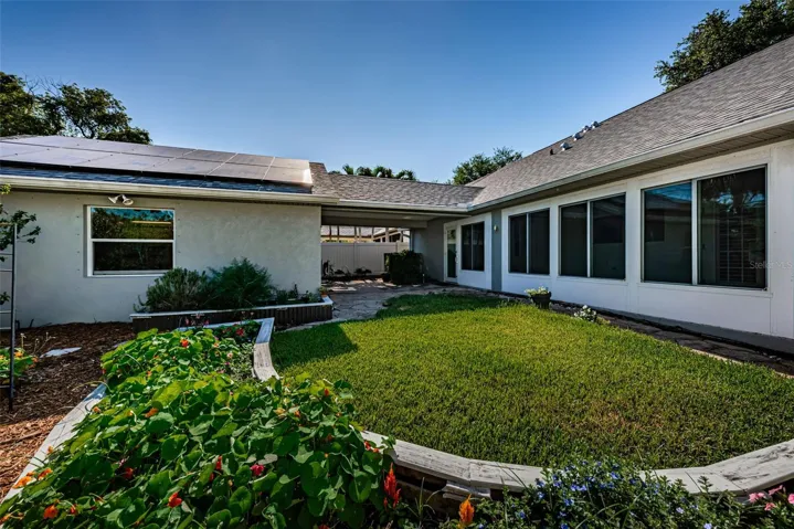 Back yard