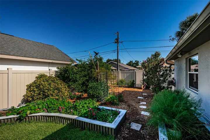Back yard