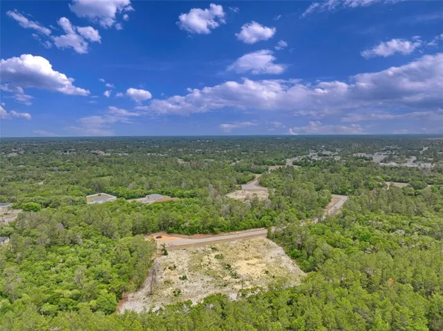Overall view of subject property and surrounding area facing east