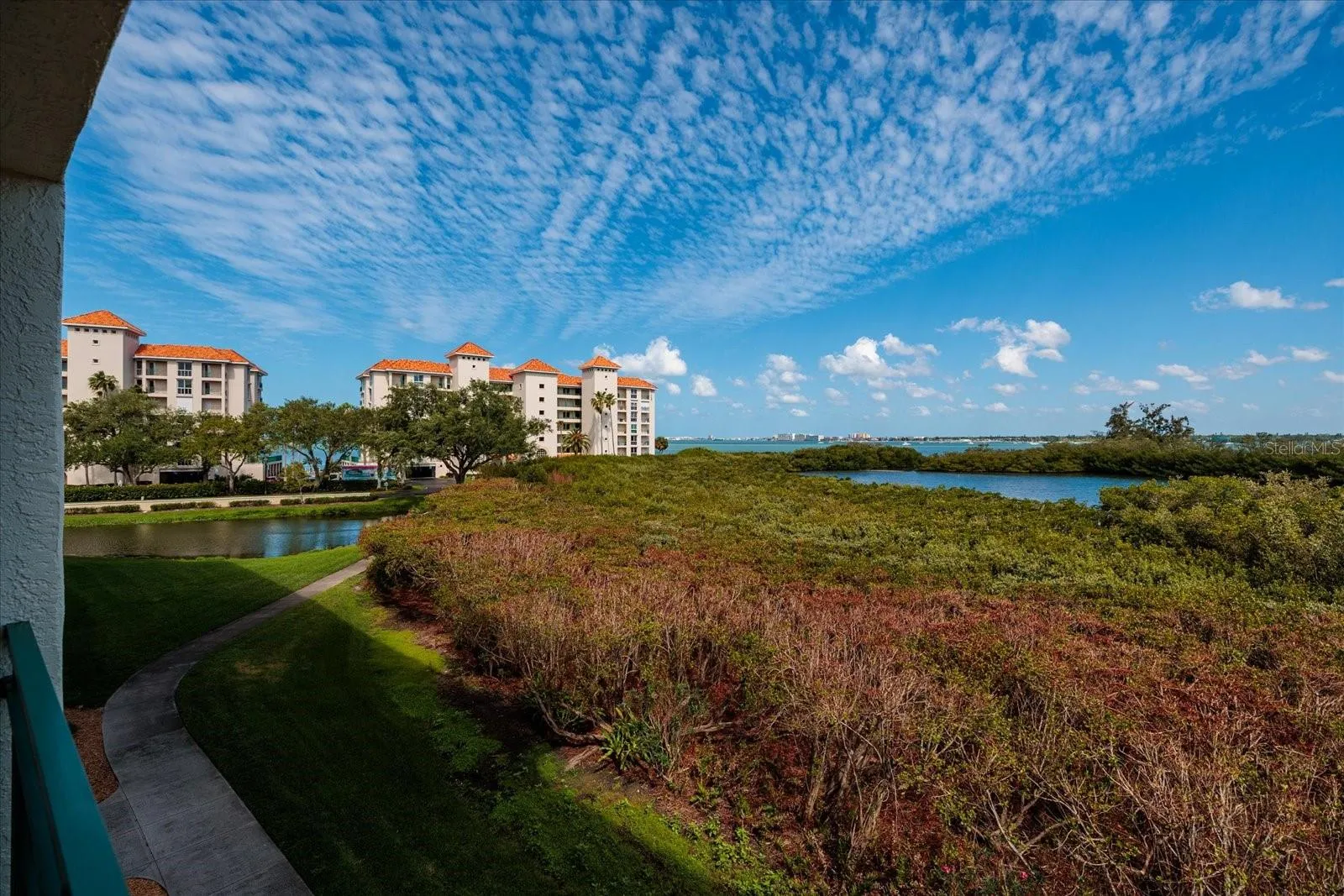 Marsh with Boca Ciega Bay beyond