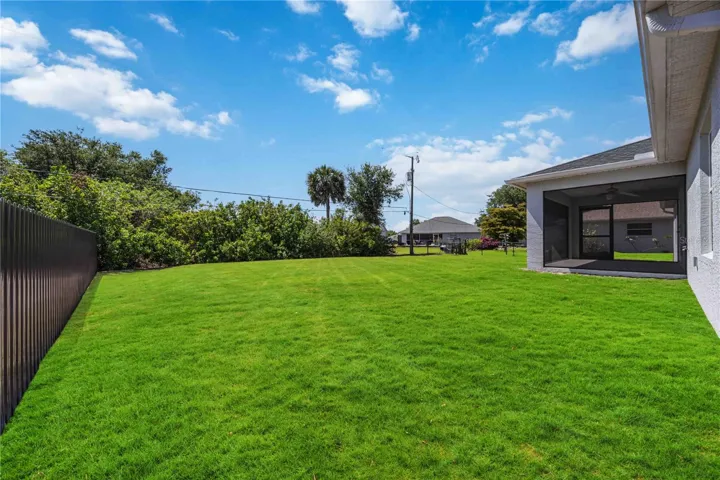 Large Backyard