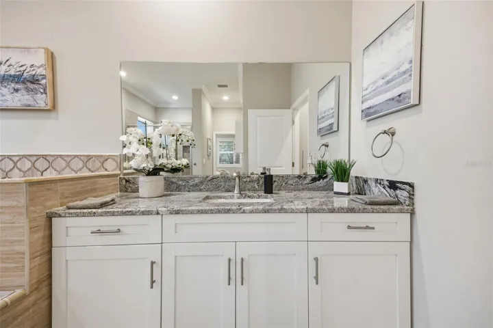 Primary Bathroom Vanity 1