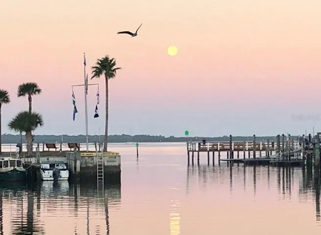Dunedin waterfront