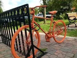 Dunedin Biking