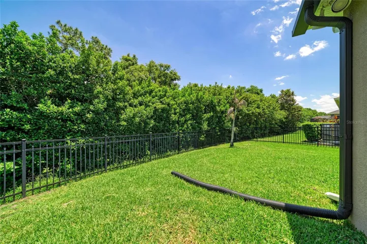Fenced yard