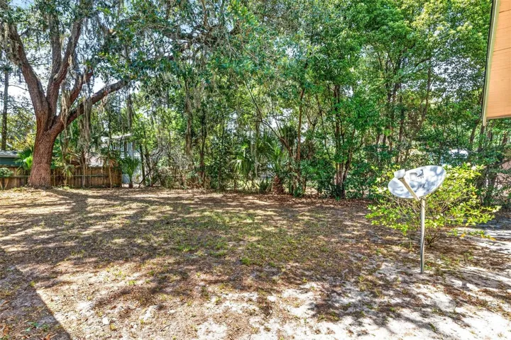 Spacious Backyard