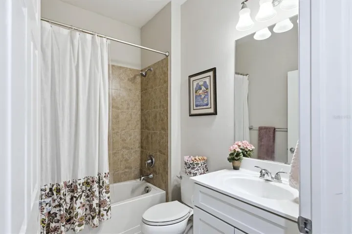 Hall Bathroom /Shower/Tub