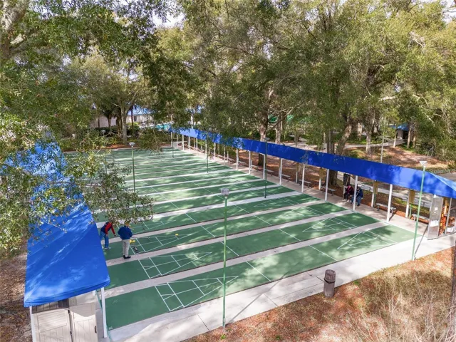 Shuffleboard & Bocce ball