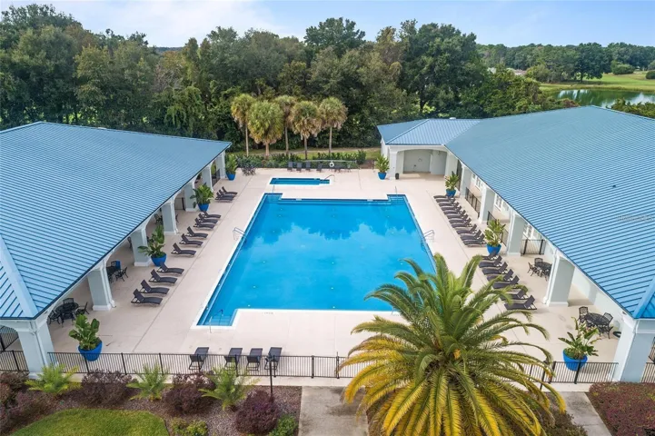 Palm Grove pool