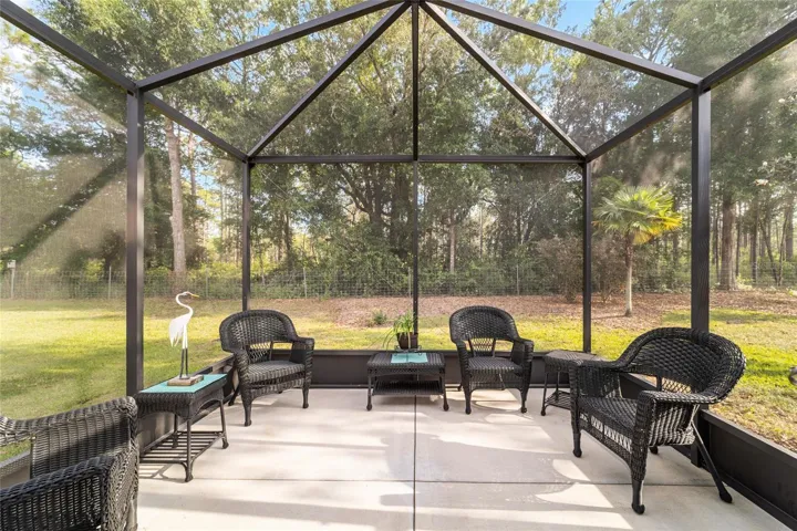 Birdcage in backyard