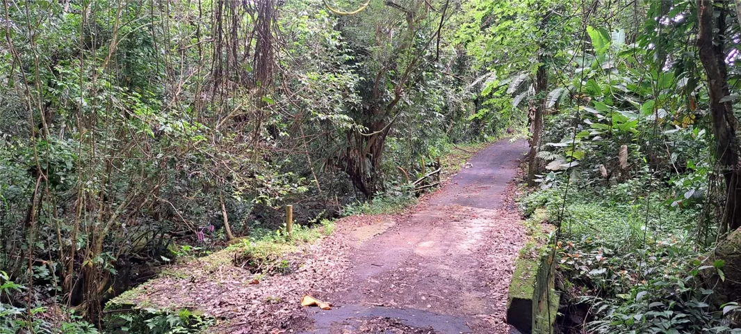 Access road leading to the lot
