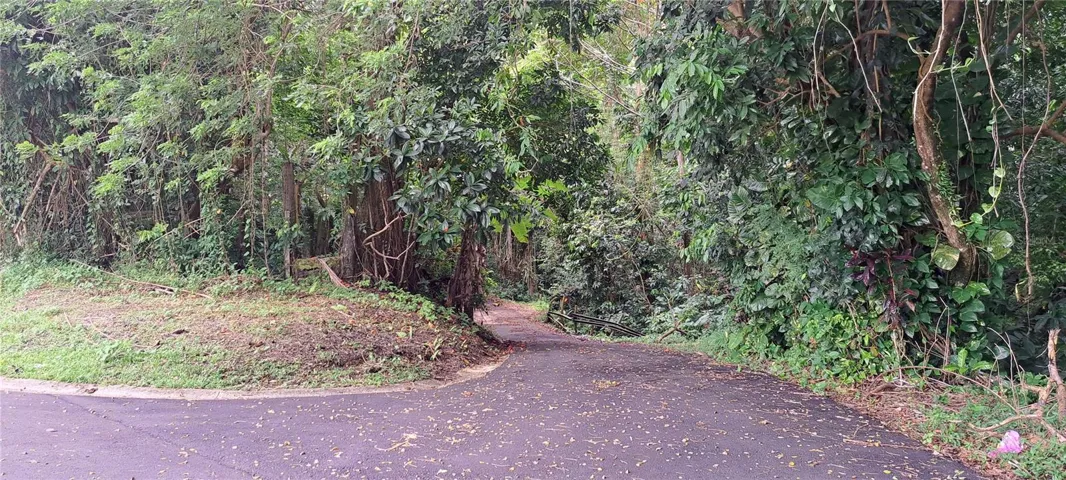 Access road leading to the lot