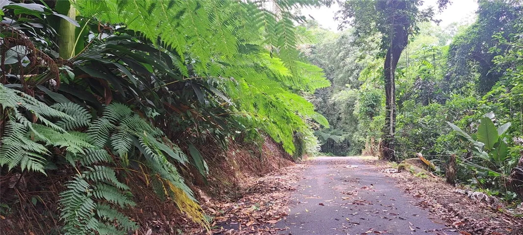 Road in front of the lot