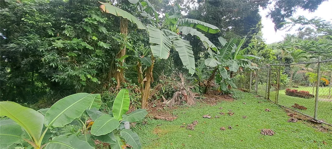 Lot and left boundary line