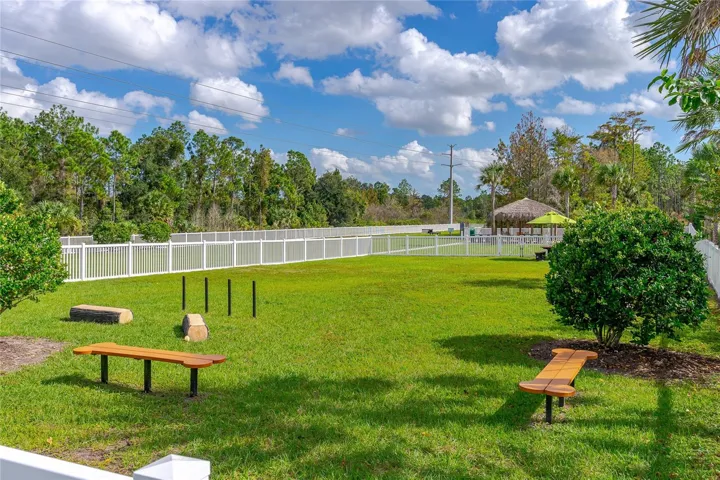 Dog Park