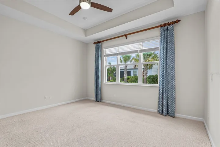 Tray Ceilings