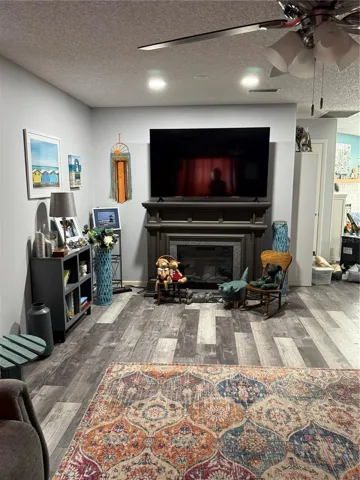 Living Room - Electric Fireplace can Stay