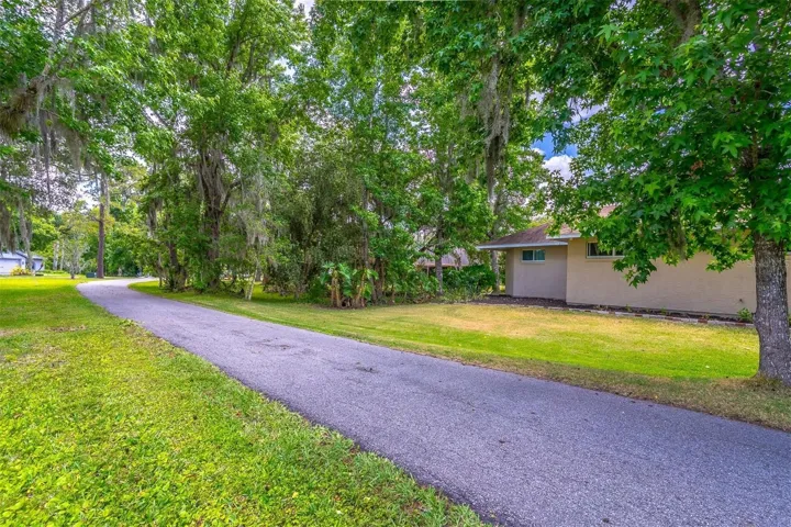 Backyard with common area for enjoying family picinics and games!