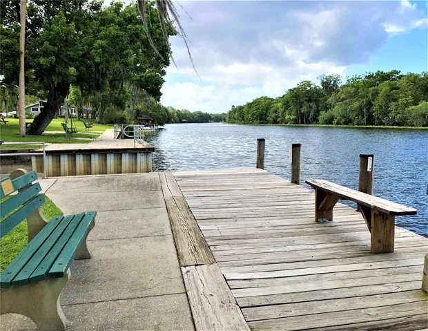 Watch the boats and manatees go by!
