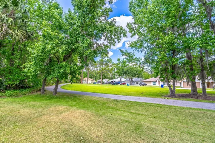 View from back yard