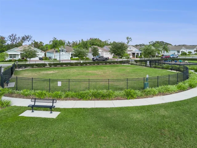 Dog Park