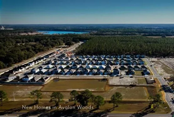 Aerial View of Avalon Woods!