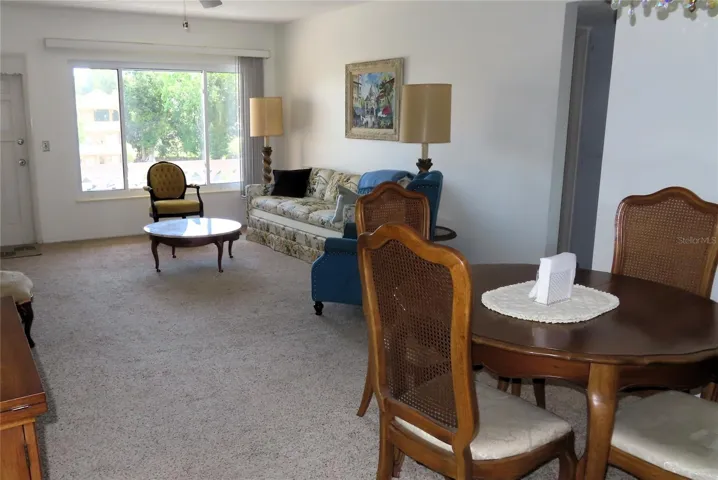 Carpeting in the Living/Dining Area