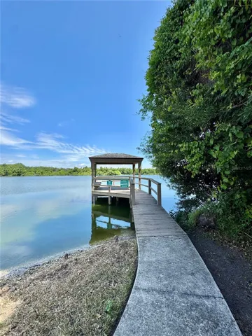 Community dock