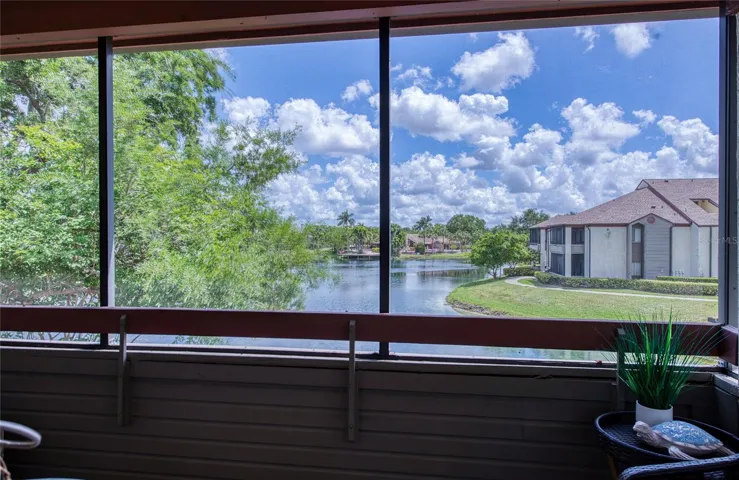 Gorgeous Water Views