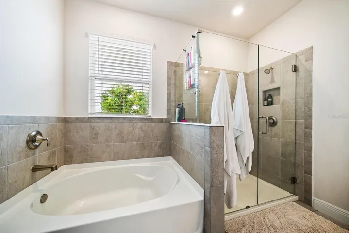 Master Tub Shower