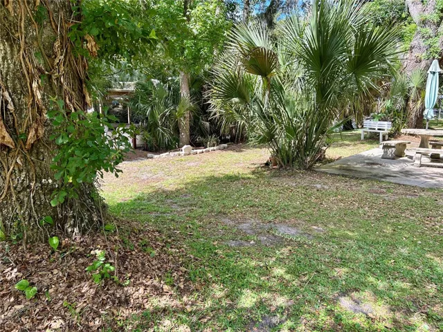 Backyard Towards Boathouse