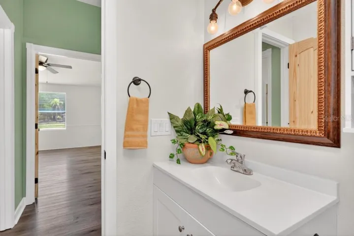 Guest Bath - New fixtures. Tub & Shower combo and a Sky Light