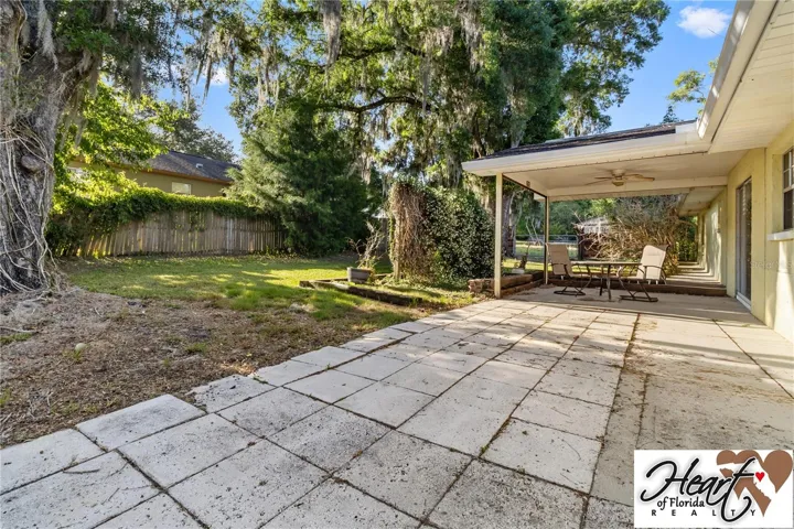 Back yard