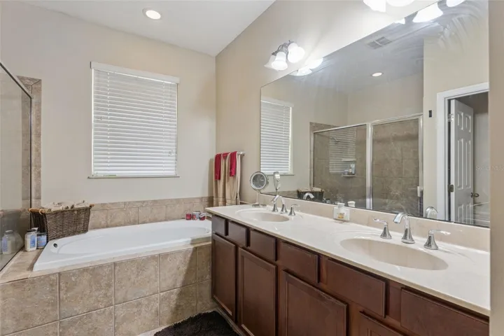 Owner's bathroom