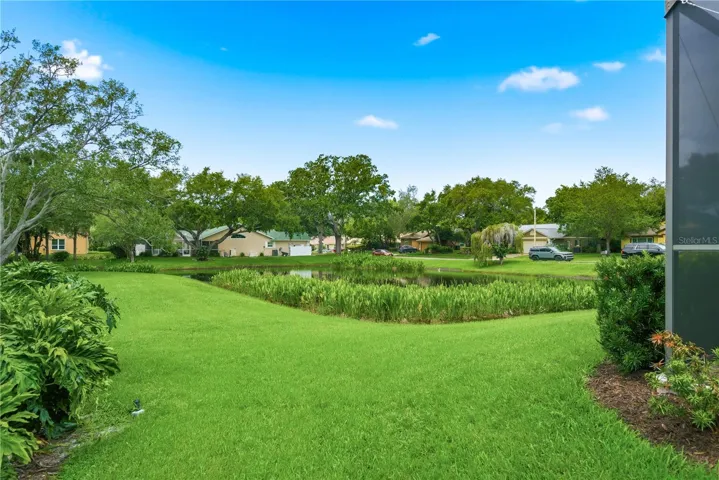 Backyard and Pond
