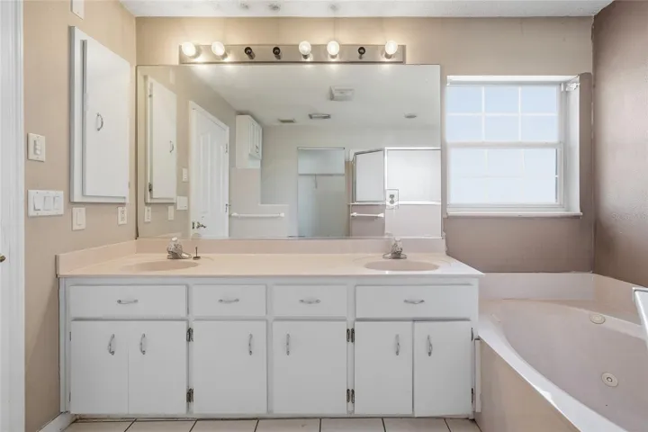 Primary Bath Vanity