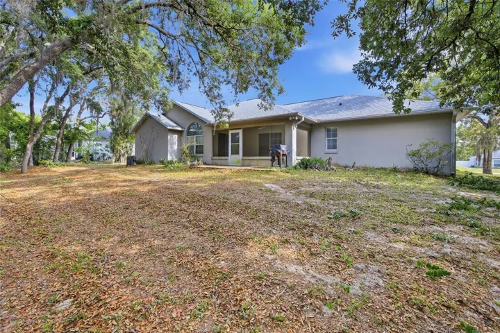 Rear Yard