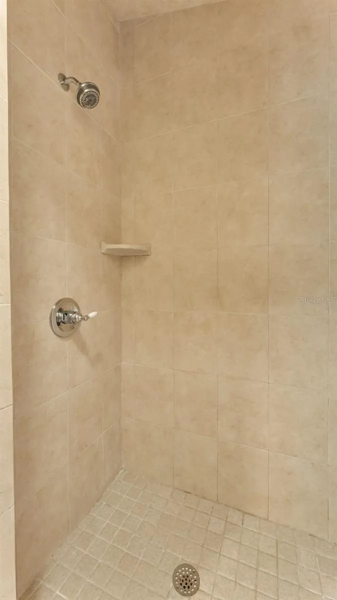 Primary tiled shower