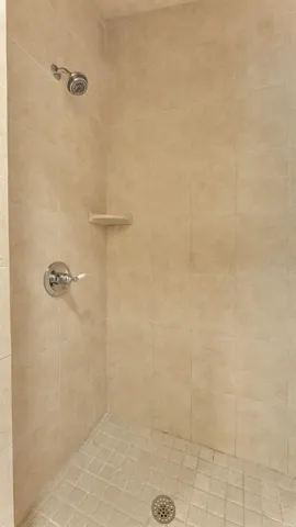Primary tiled shower