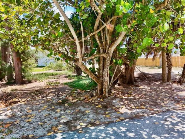 Lot from Street