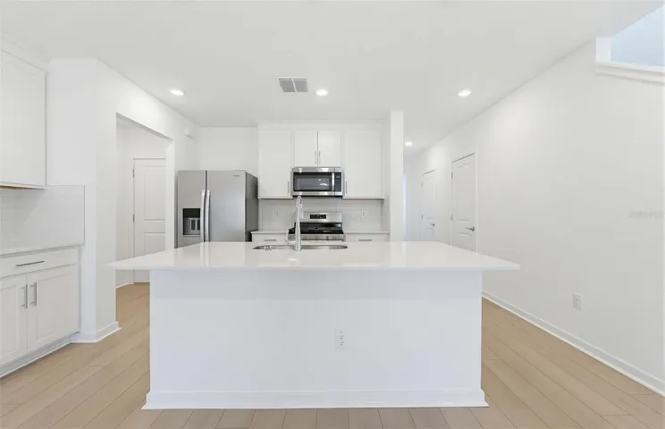 Stylish Kitchen