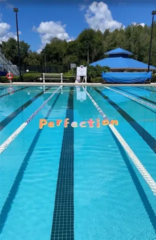 Olympic sized pool for laps