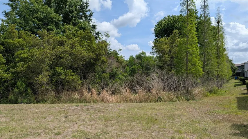 Property backs up to wooded area