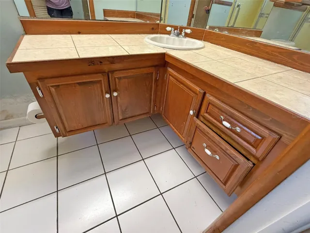 Primary Bathroom Vanity