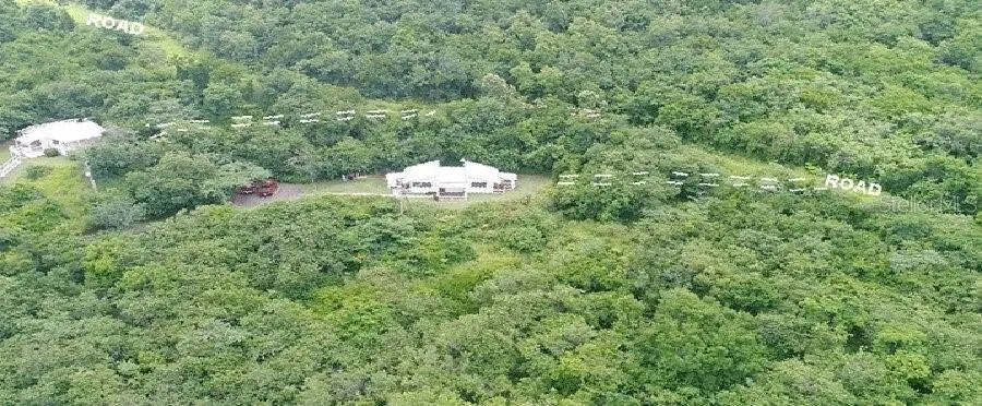 Buildings and Road Location