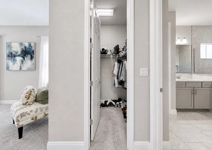 Primary Closet 2