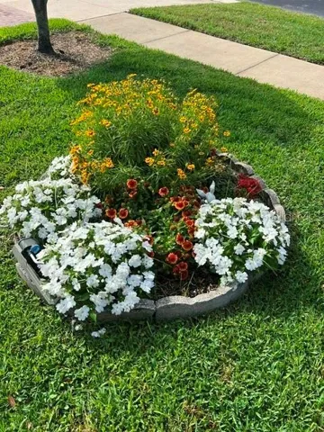 FLOWERS IN FRONT LAWN