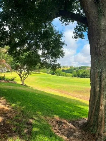GOLF COURSE HOLE #4